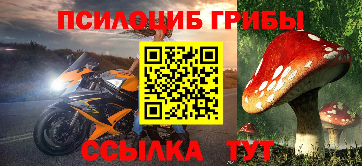 Псилоцибиновые грибы ЛСД  Вход с VPN  Королёв  Псилоцибиновые грибы Cubensis 