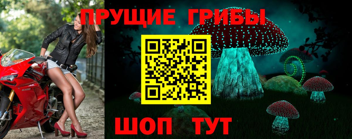 Псилоцибиновые грибы GOLDEN TEACHER Королёв